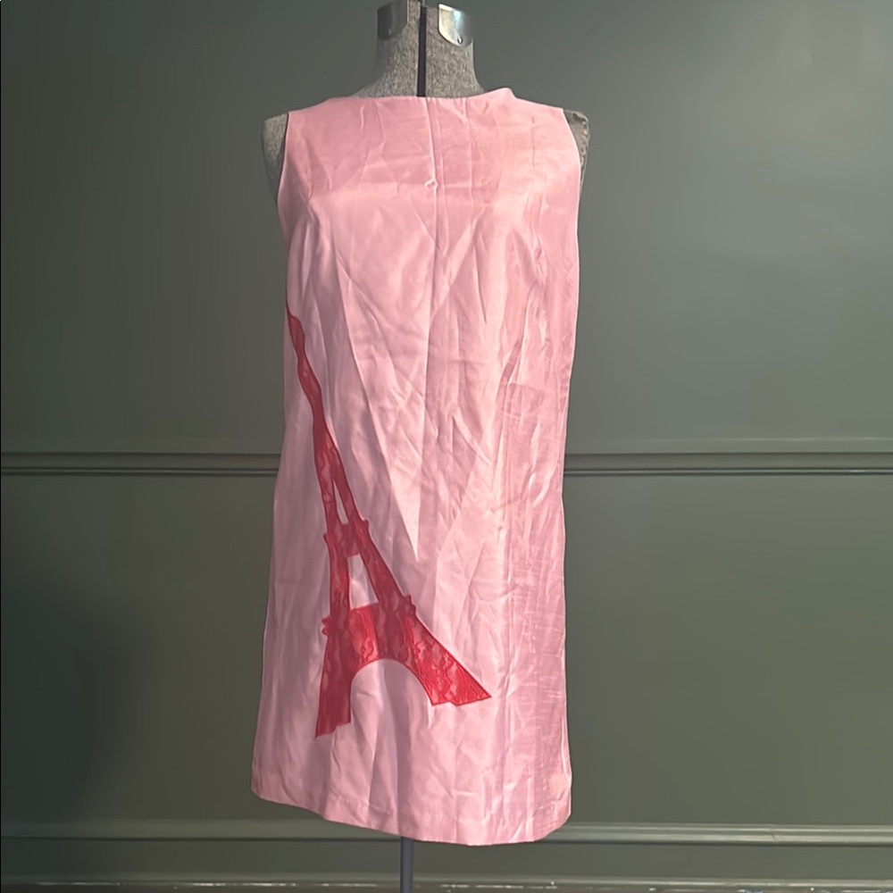 Pink Sleeveless Eiffel Tower shift dress NWT so unique!